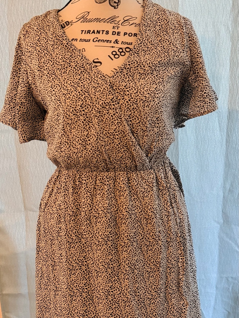 Sienna Sky Leopard Print Maxi Dress